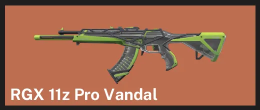 🌍EU 🎮 RANKED READY ✨ RGX 11z Pro Vandal