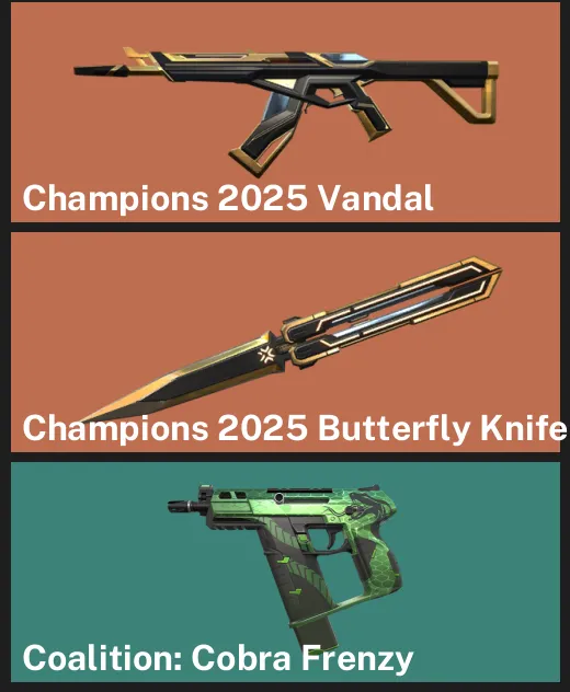 🌎NA 🎮 RANKED READY ✨ Champions 2025 Vandal ✨ Champions 2025 Butterfly Knife ✨
